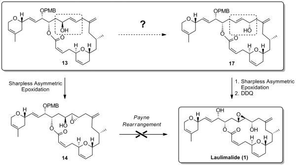 Scheme 9