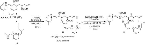 Scheme 6