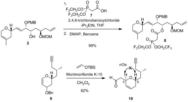 Scheme 5