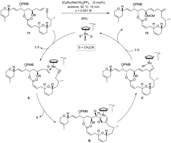 Scheme 7