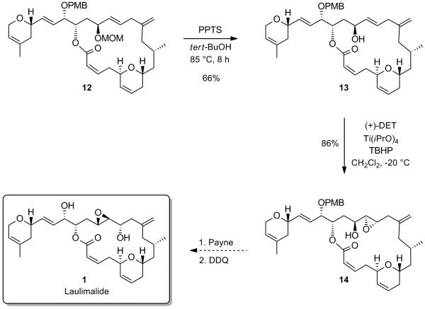 Scheme 8