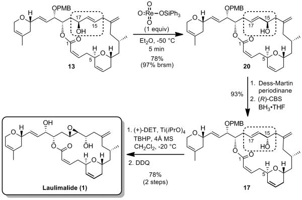 Scheme 11