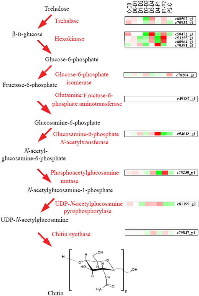 Figure 7