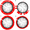 FIG 3