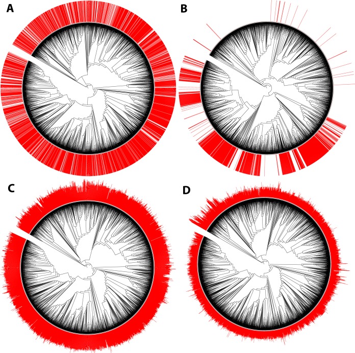 FIG 3 