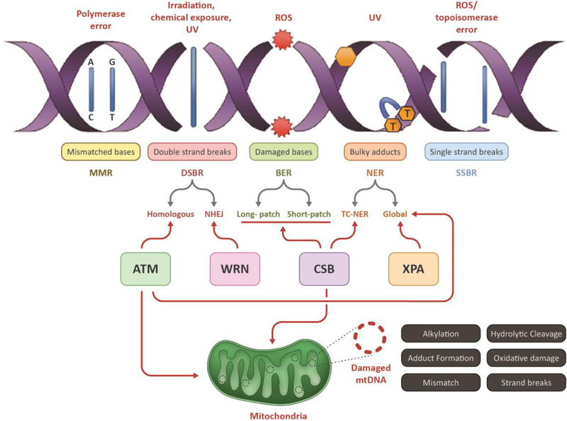 Figure 1: