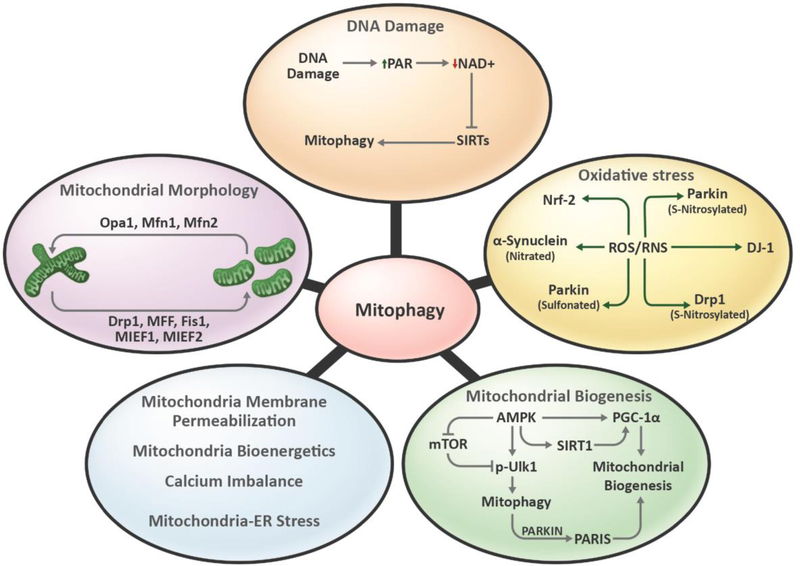 Figure 3: