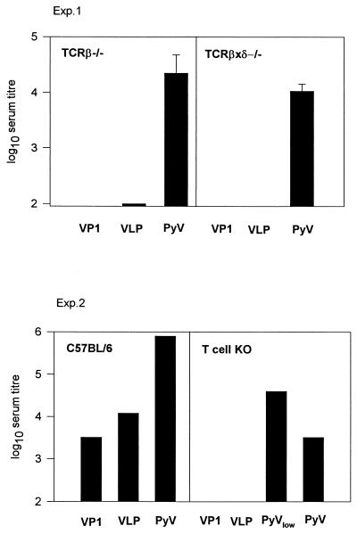 FIG. 6