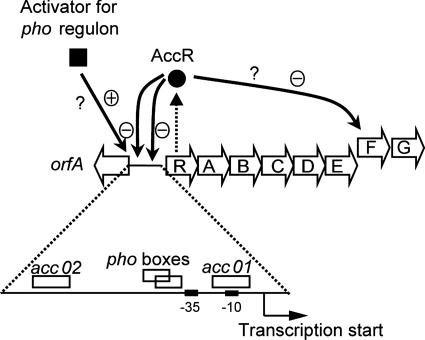 FIG. 7.