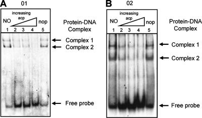 FIG. 5.