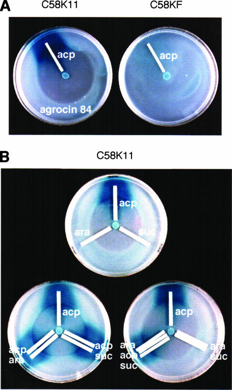 FIG. 6.