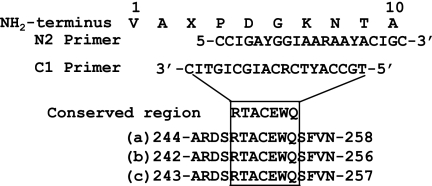 FIG. 4.