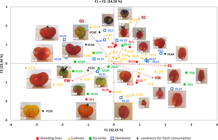 Fig. 6