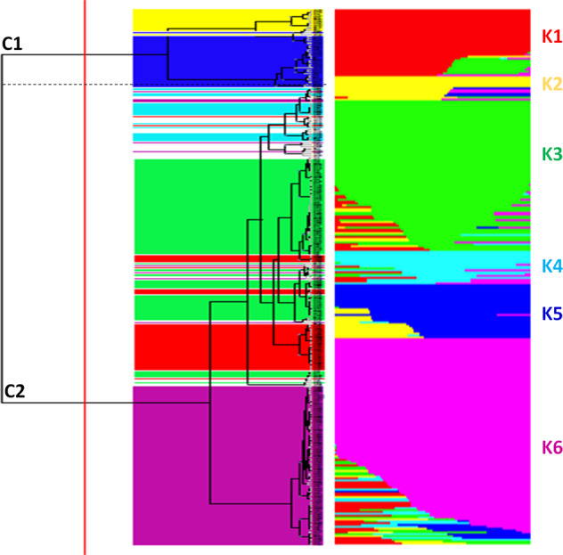 Fig. 2