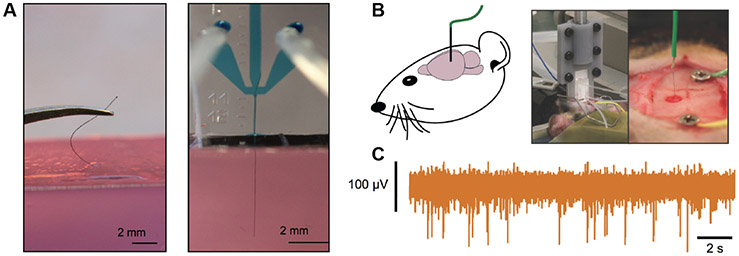 Figure 7.