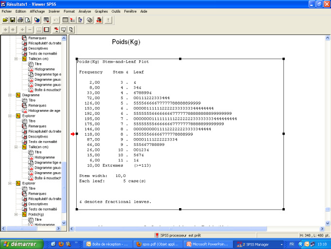 Exemple de la figure « Feuille et Branche » de la représentation d’une variable quantitative, par le logiciel SPSS