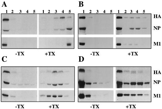 FIG. 5