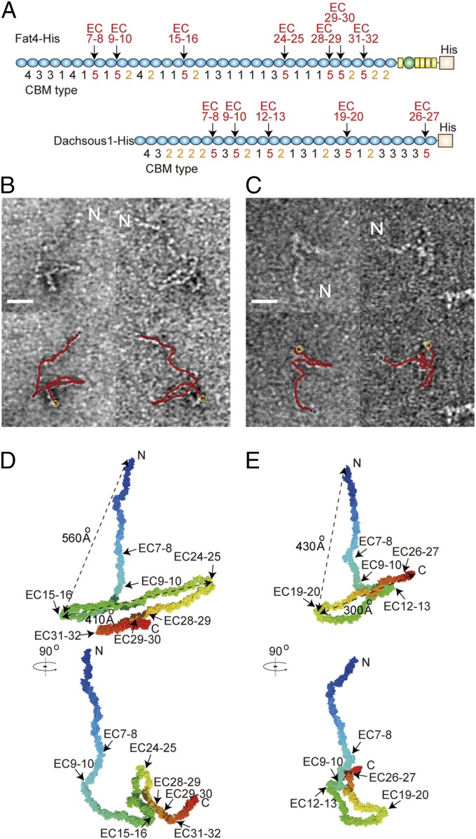 Fig. 3.