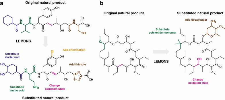 Fig. 2