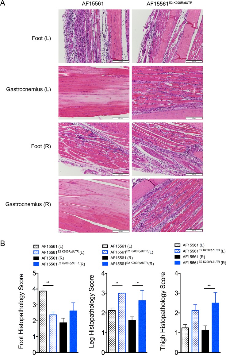 FIG 2