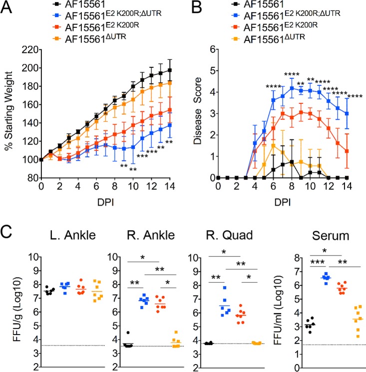 FIG 6