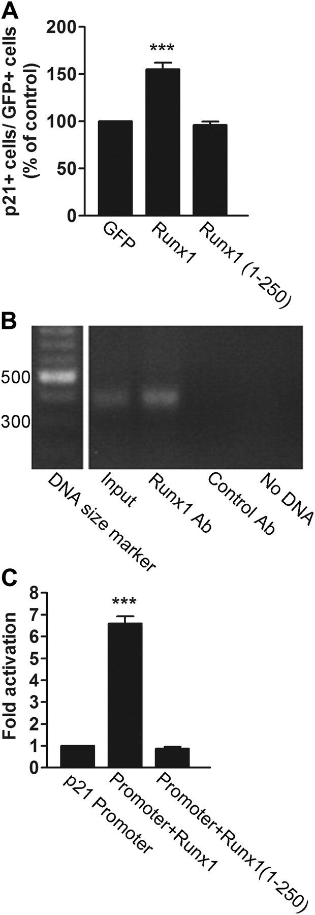 Figure 7.