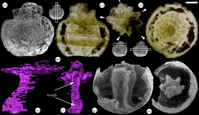 Figure 2.