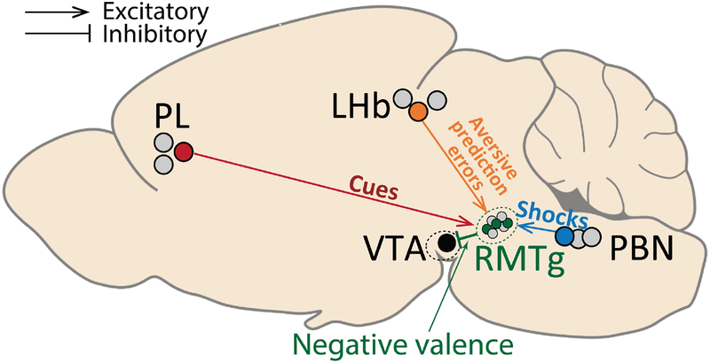 Figure 7.