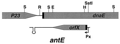 FIG. 6