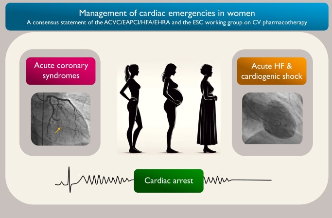 Graphical abstract