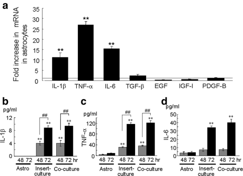 Fig. 3