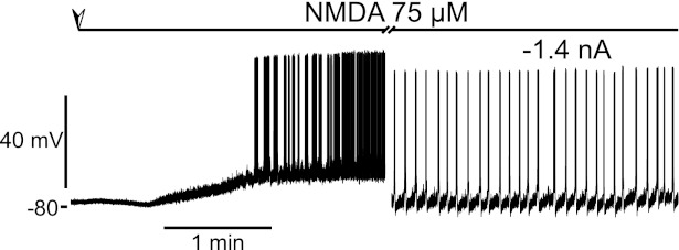 Fig. 2.