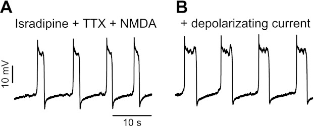 Fig. 6.