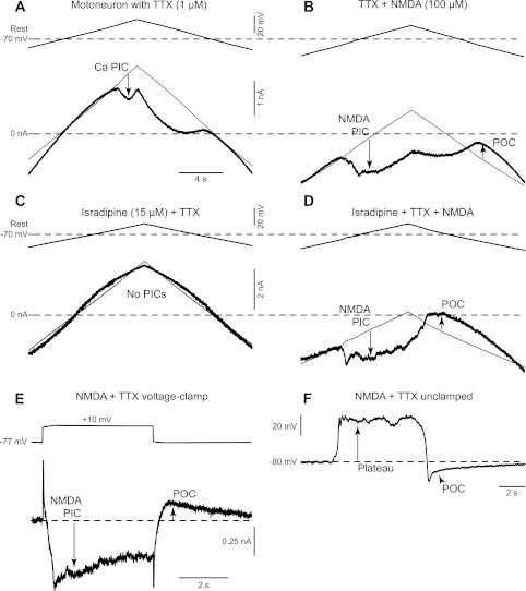 Fig. 5.