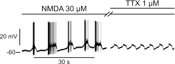 Fig. 4.