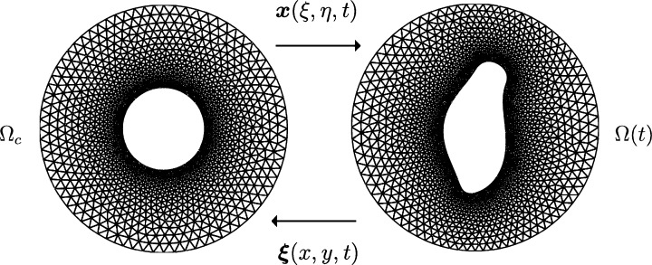 Fig. 4