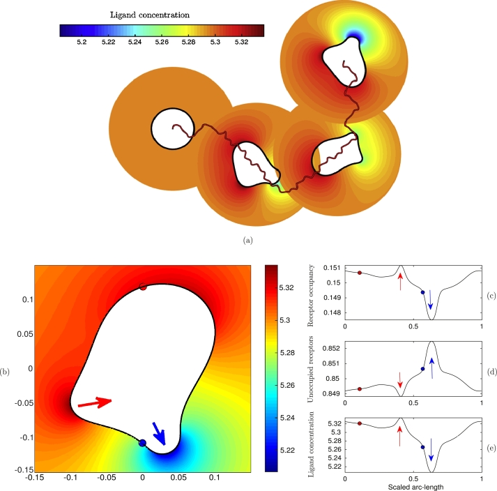 Fig. 10