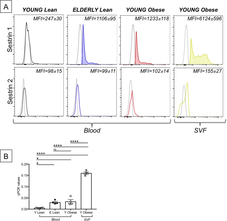 Fig 10