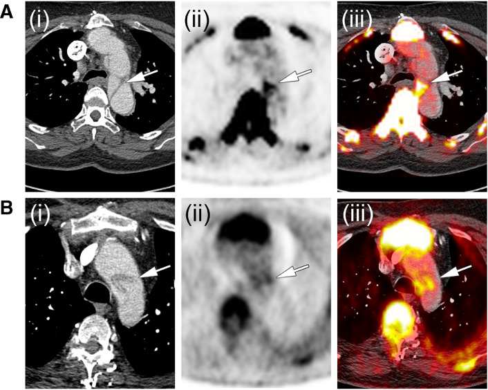 Figure Fig. 6.