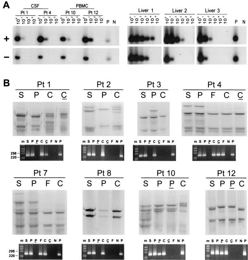 FIG. 1.