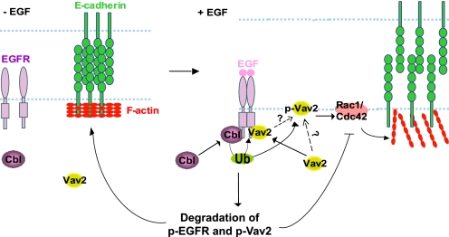 FIGURE 10.