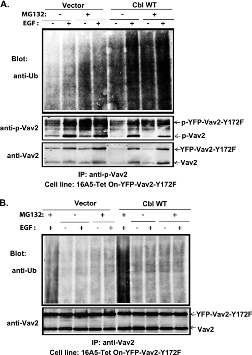 FIGURE 9.