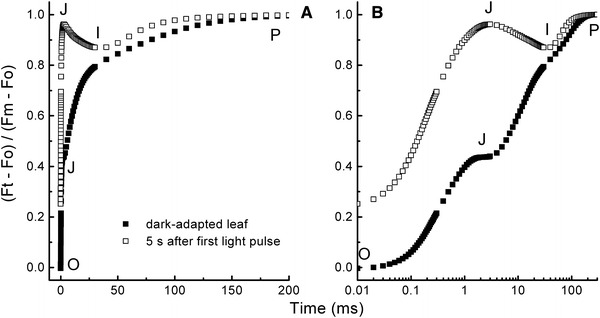 Fig. 3