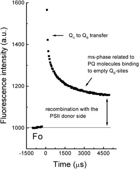 Fig. 2