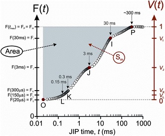 Fig. 7