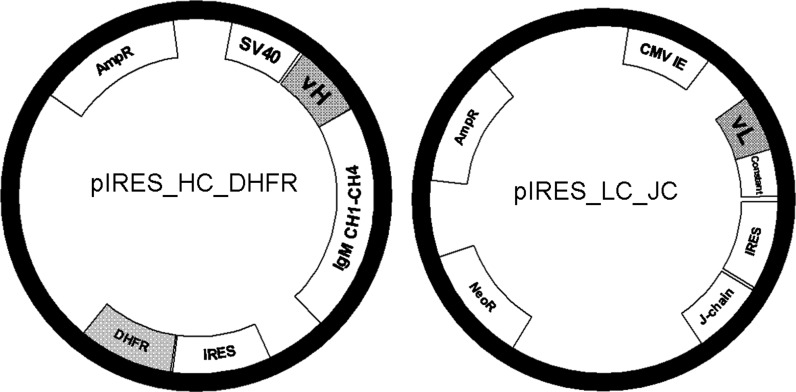 Fig. 1