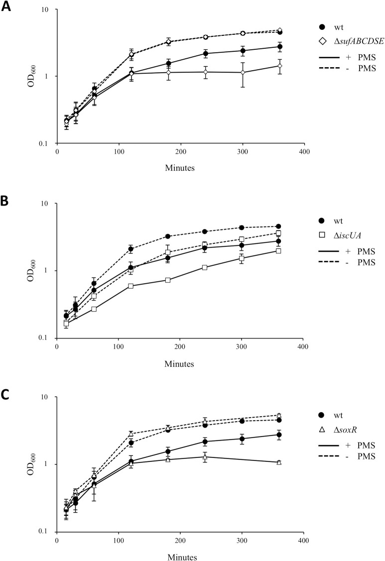 Fig 2