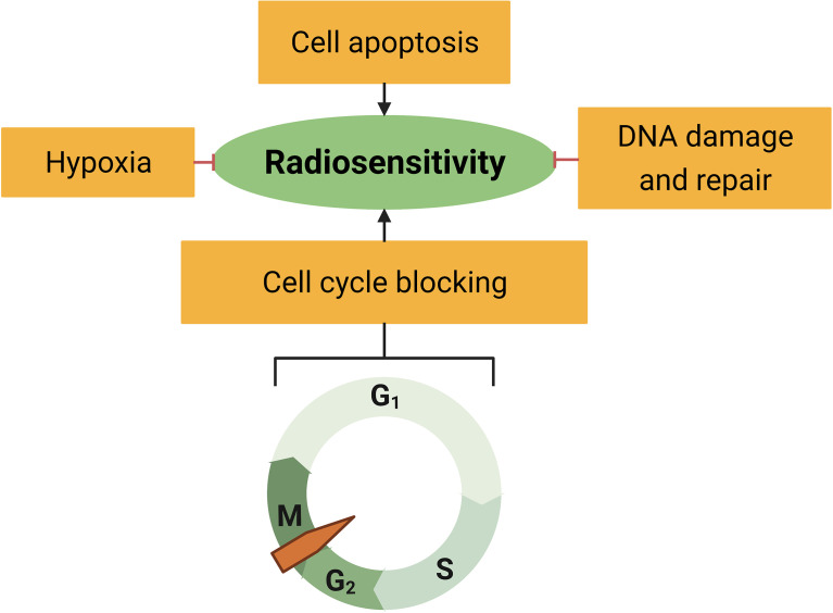 Figure 3