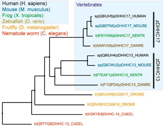 FIGURE 6.