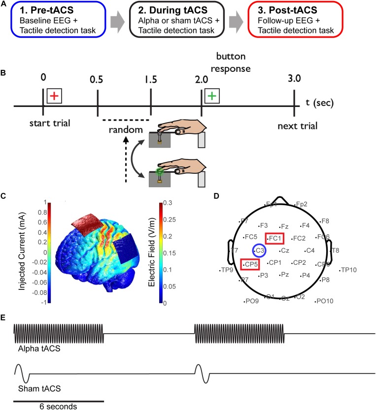 FIGURE 1